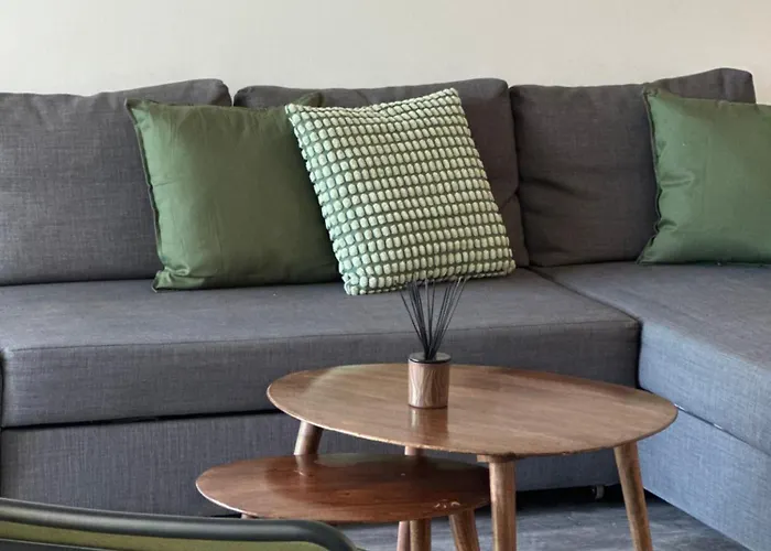 Dans Résidence Avec Piscine Appartement